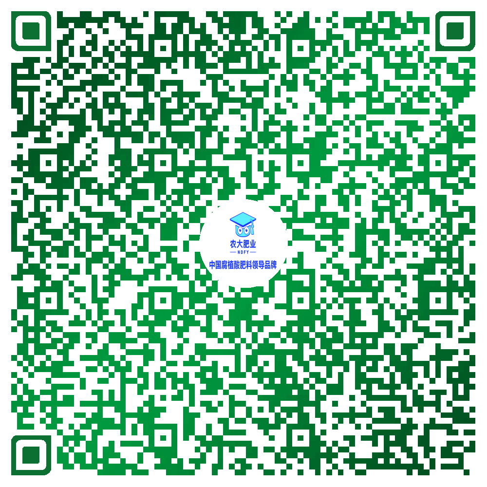 626969资料网站